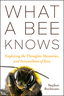 What a Bee Knows: Exploring the Thoughts, Memories, and Personalities of Bees by Stephen Buchmann | An Island Press book