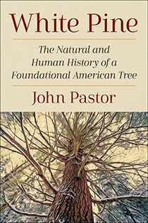 White Pine by John Pastor | An Island Press book