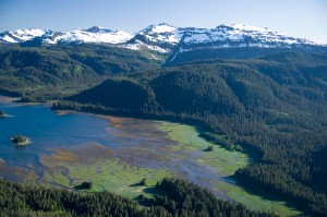 The Tongass Rainforest (photo credit: John Hyde for Sierra Club)