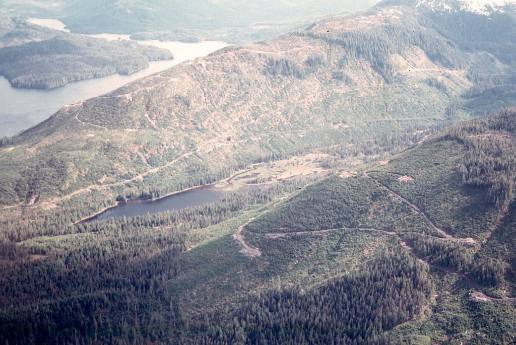 Logging on the Tongass rainforest releases vast amounts of CO2 as a global warming pollutant 