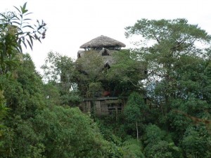 A unique hotel in Ecuadorian rainforest