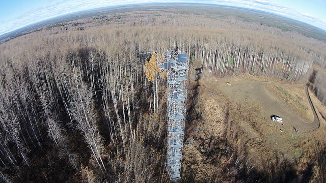 A flux tower in Canada. Photo by ibmphoto24, used under Creative Commons licensing.