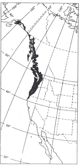 Figure 1. The Pacific Northwest region, dominated by massive coniferous forests, extends from northwestern California (40 degrees north) to the southwestern coast of Alaska (60+ degrees north). The crest of the Cascade Mountains forms the eastern boundary of the region in the south while the Coastal Mountain Range defines it farther to the north. (from Waring and Franklin, 1979). 