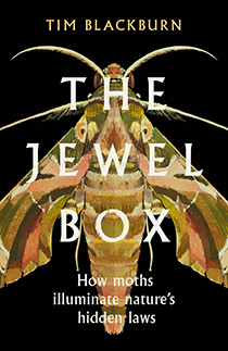 The Jewel Box: How Moths Illuminate Nature’s Hidden Rules by Tim Blackburn | An Island Press book